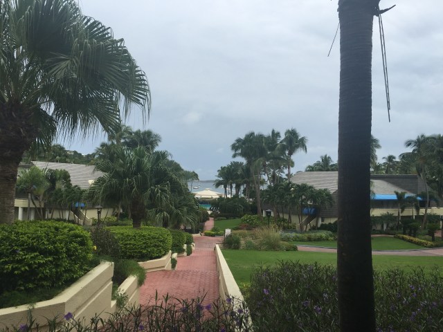 day5_morningshopping6